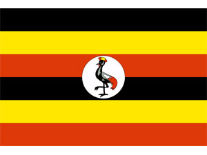 info12_uganda.jpg (7416 Byte)